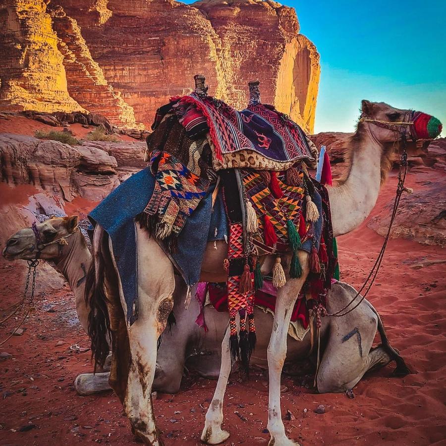 Wadi Rum Bedouin Time المظهر الخارجي الصورة