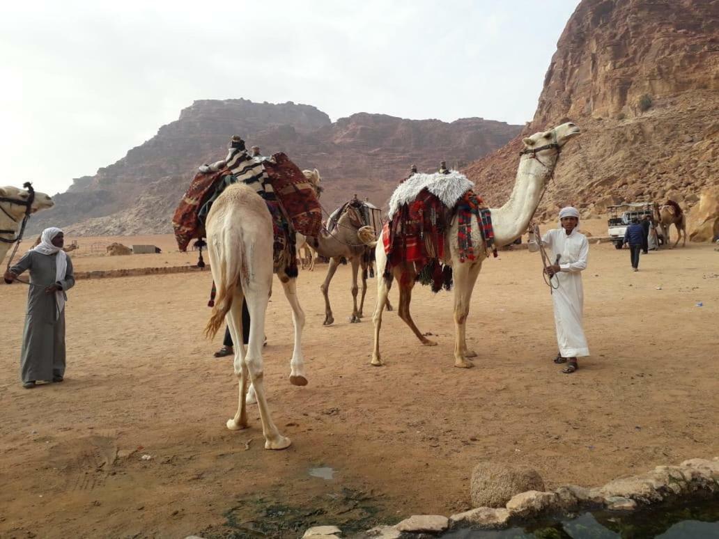 Wadi Rum Bedouin Time المظهر الخارجي الصورة