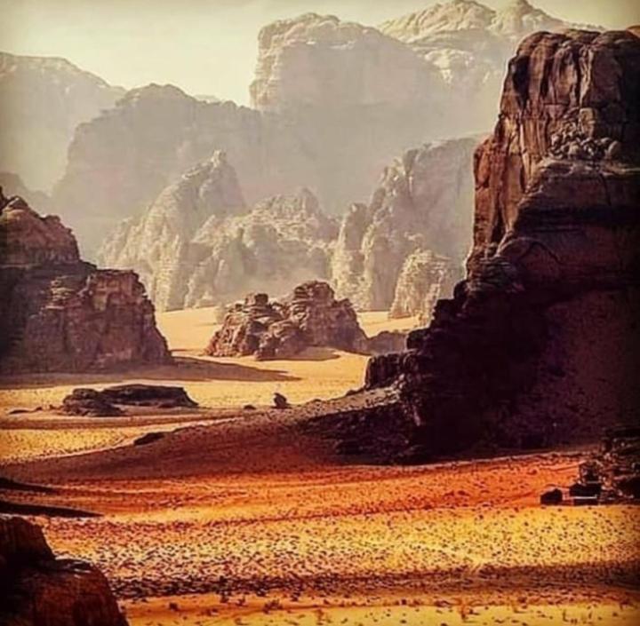 Wadi Rum Bedouin Time المظهر الخارجي الصورة